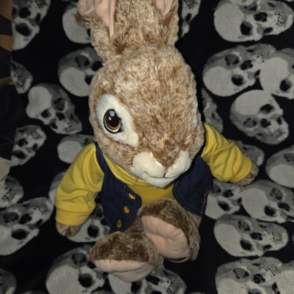 Peter Rabbit Plush! - Picture 2 of 4
